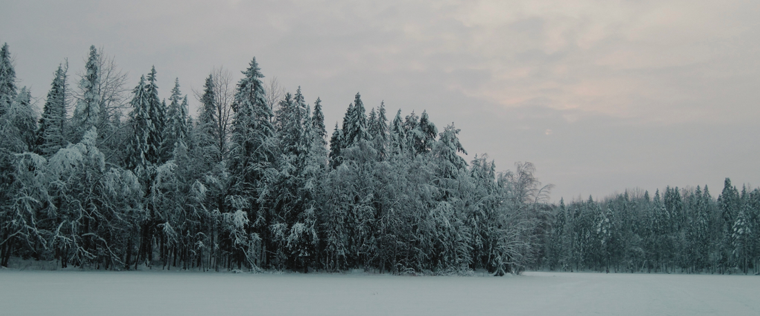 Dachzelt im Winter - So bleibt ihr warm und sicher