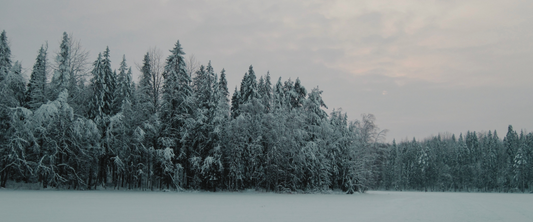 Dachzelt im Winter - So bleibt ihr warm und sicher